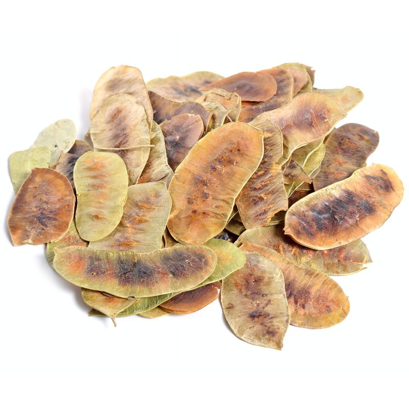 Senna ( Fylla Alexandrias )  - 1