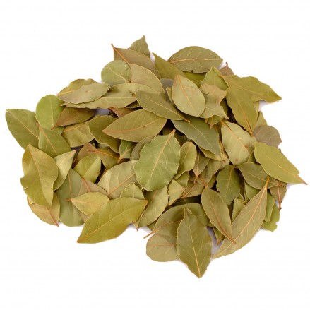 Bay leaves (Dafni)  - 1