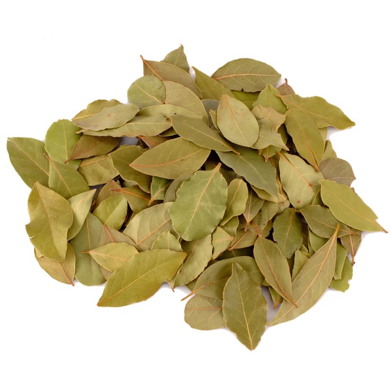 Bay leaves (Dafni)  - 1 Bay leaves (Dafni)  - 1