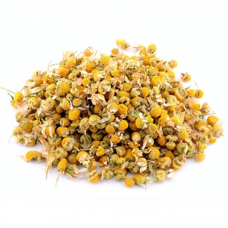 Chamomile - 1