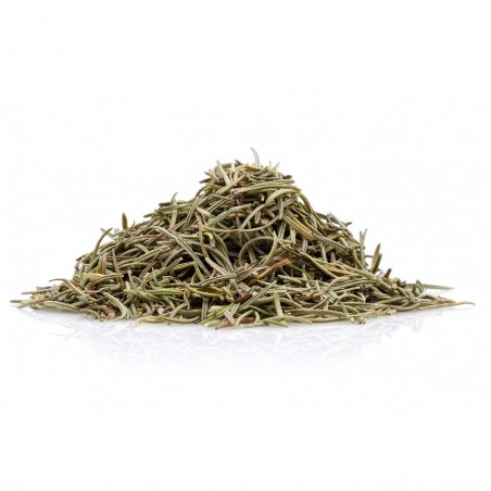 Rosemary (Dentrolivano)  - 1