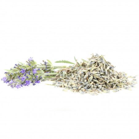 Lavender - 1