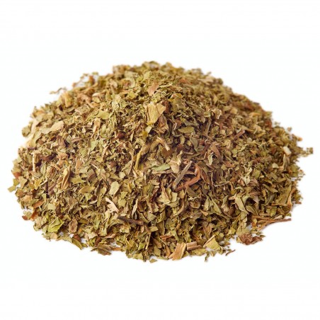 Spearmint (Diosmo) - 1