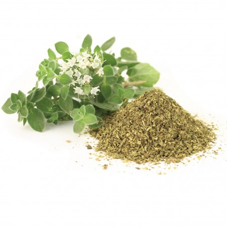 Oregano (Rigani) - 1