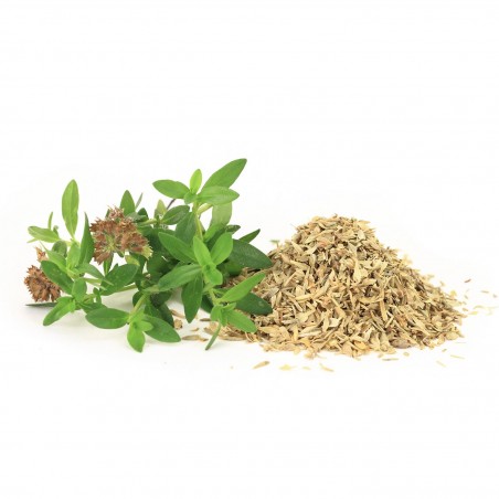 Thyme (Thimari) - 1