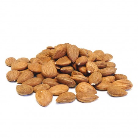 Apricot Kernels